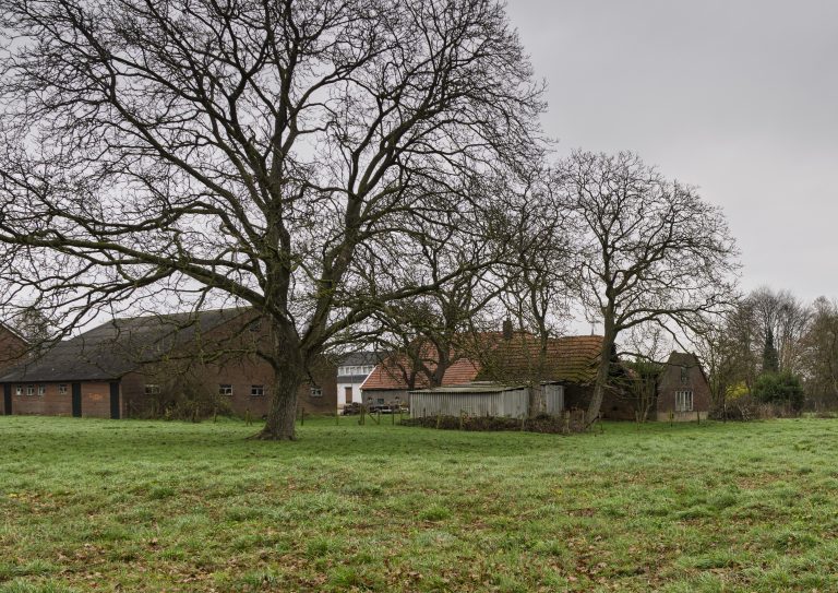 ‘De Tuin van ETTEN’ met ’t Olde Helmeshuus