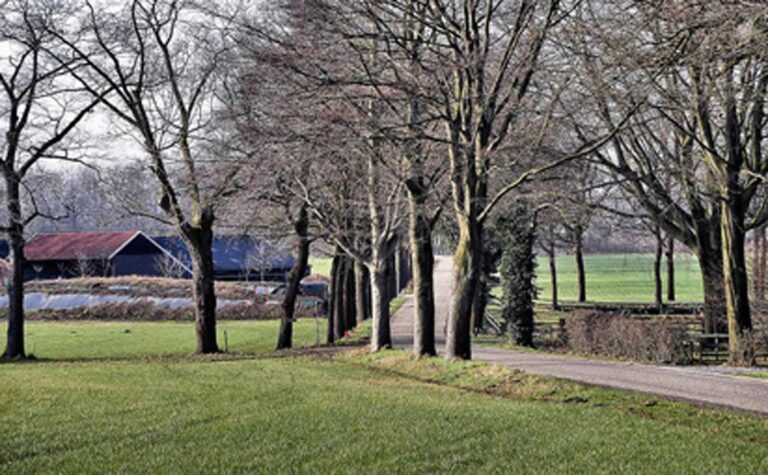 Oost-Nederlands plateau