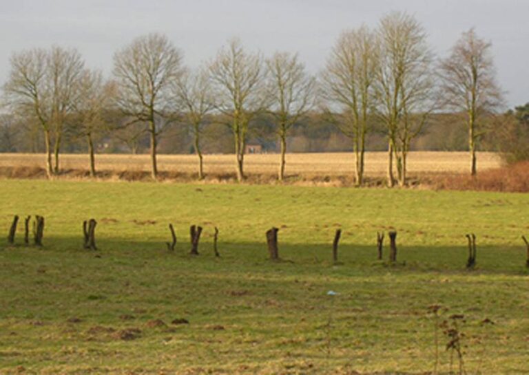 Akkercomplex Hulleweg Gaanderen