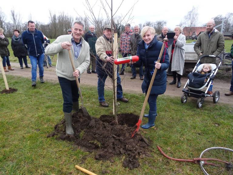 Knotelzen in de Meuhoek