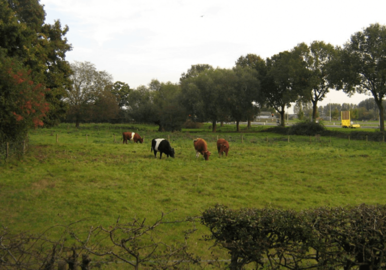 ‘De Tuin van ETTEN’ met ’t Olde Helmeshuus