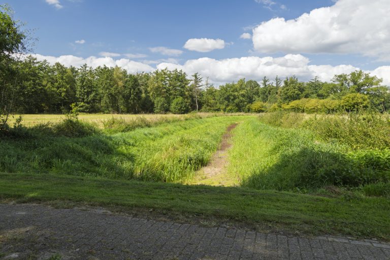 De Hissinkbeek in De Veldhoek