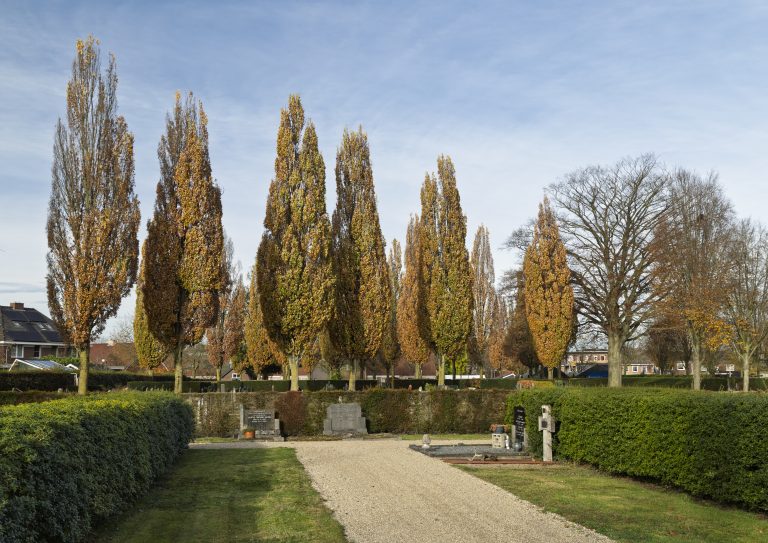 Rentinkkamp Varsseveld