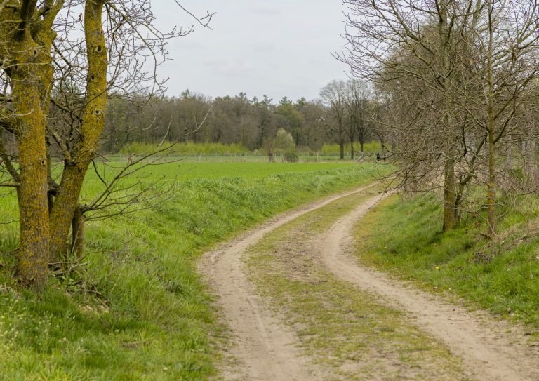De Brunsveldse Wal